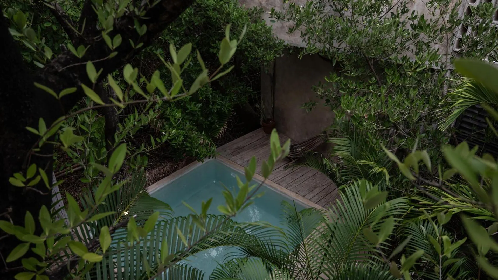 Casa Coyote Tulum Hotel