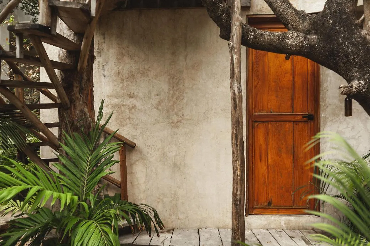 Casa Coyote Tulum 호텔
